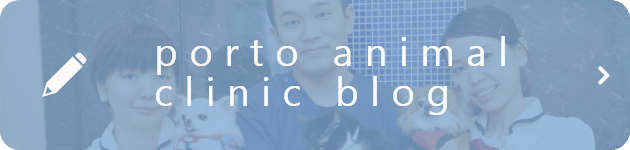 porto animal clinic blog
